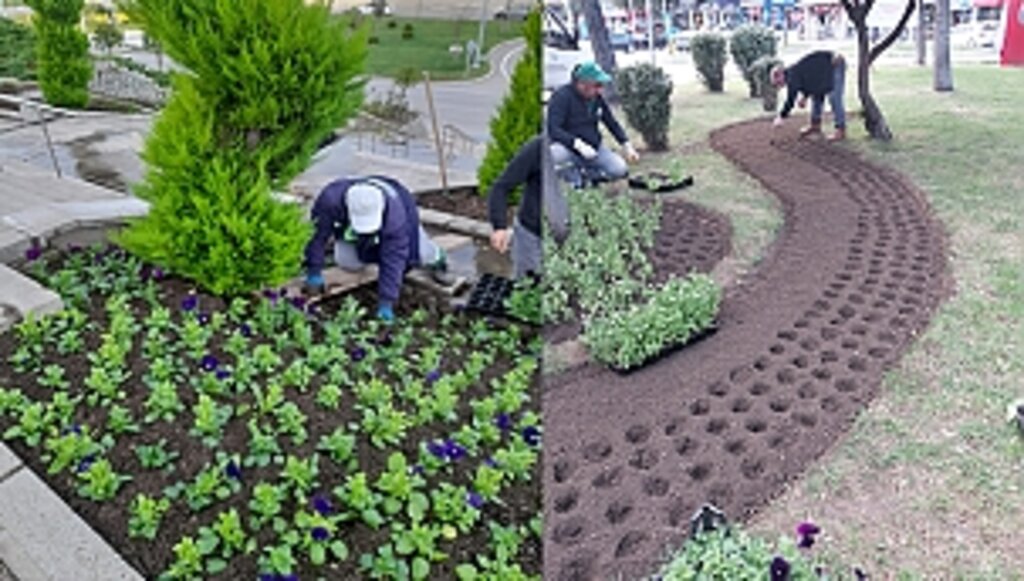 100 Bin Mevsimlik Çiçek İlkadım'a Renk Katacak