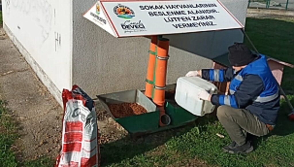 Atakum Belediyesi'nden Patili Dostlara Mama Desteği