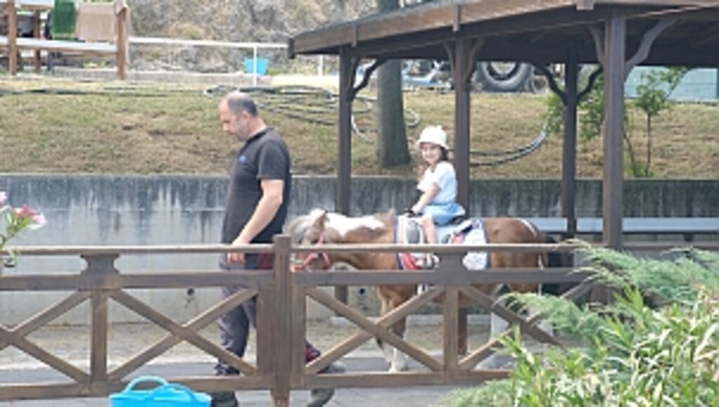 Atlı Spor Tesisleri'ne yoğun ilgi