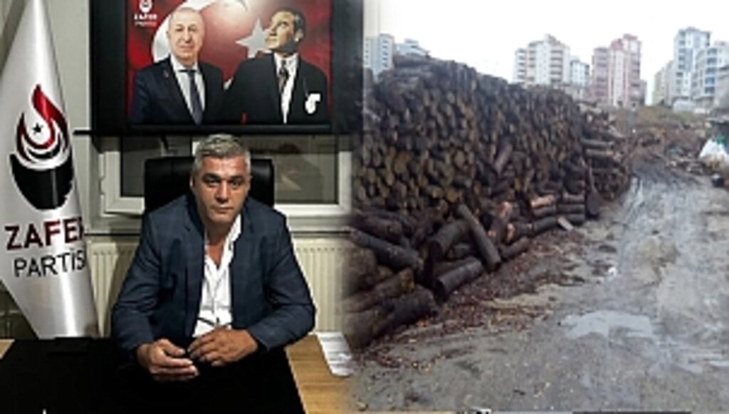 İlkadım'da 2024 Yılında Fare Sorunu Yaşanıyor