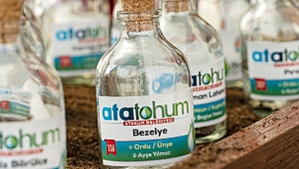 Ata Tohumlar, Atakum'dan Geleceğe Taşınıyor