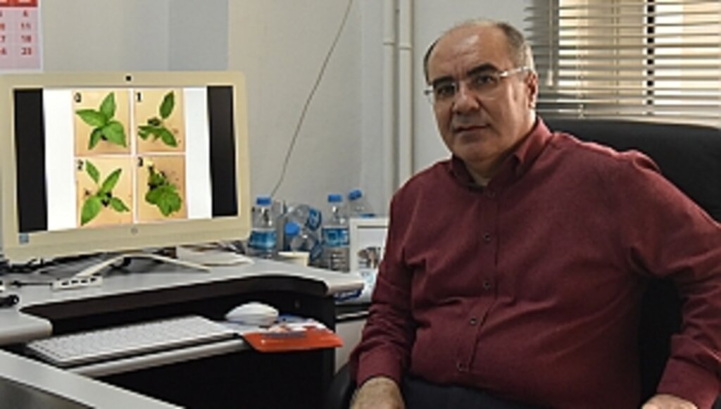 Değişen İklim Koşulları Bitkiden Alınan Verimi Düşüyor