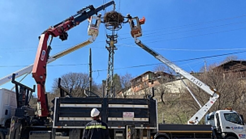 Leylek Yuvaları Projesi ile Dikkat Çekiyor