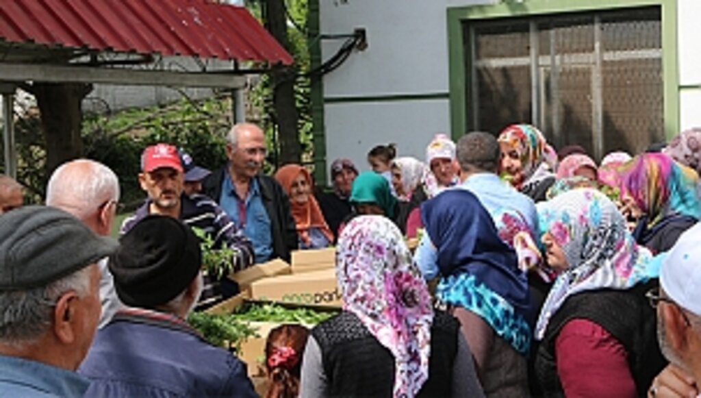 Atakum Belediye Başkanı Türkel'den Çiftçiye Destek