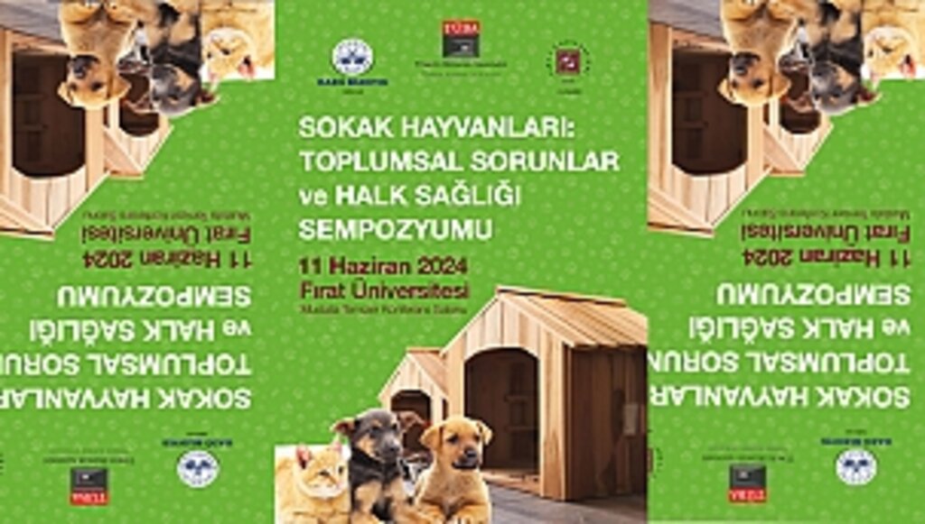 TÜBA, Bilim İnsanlarını Sokak Hayvanları için Bir Araya Getiriyor