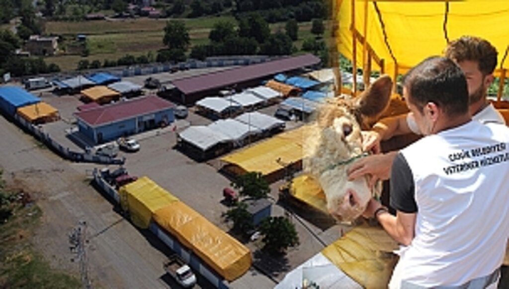 Canik'te Kurban Pazar Yerinde Veteriner Gözetiminde Satış