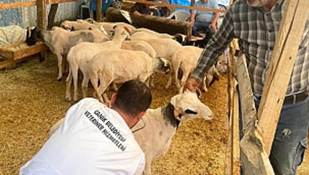 Denetimlerimizi Aralıksız Bir Şekilde Sürdürüyoruz