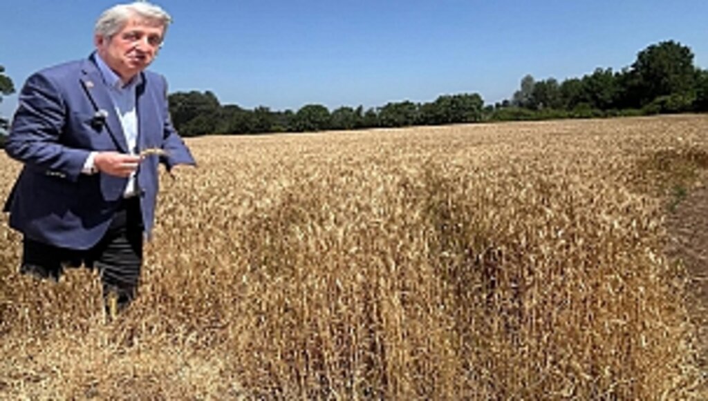 İktidar, Çiftçiyi Tarlaya Küstürdü