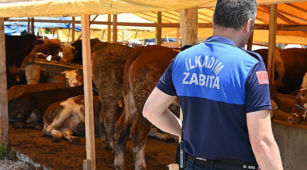 İlkadım Zabıtası Kurban Denetimlerini Arttırdı