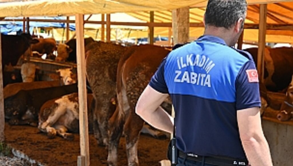 İlkadım Zabıtası Kurban Denetimlerini Arttırdı