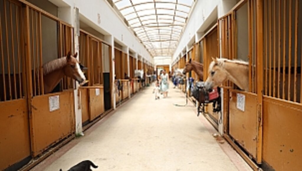 Atlı Spor Tesisleri Ziyaretçilerini Bekliyor