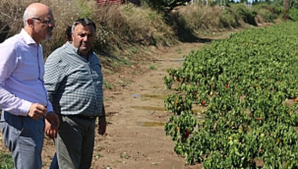 CHP'den Sel Mağduru Üreticiye Destek