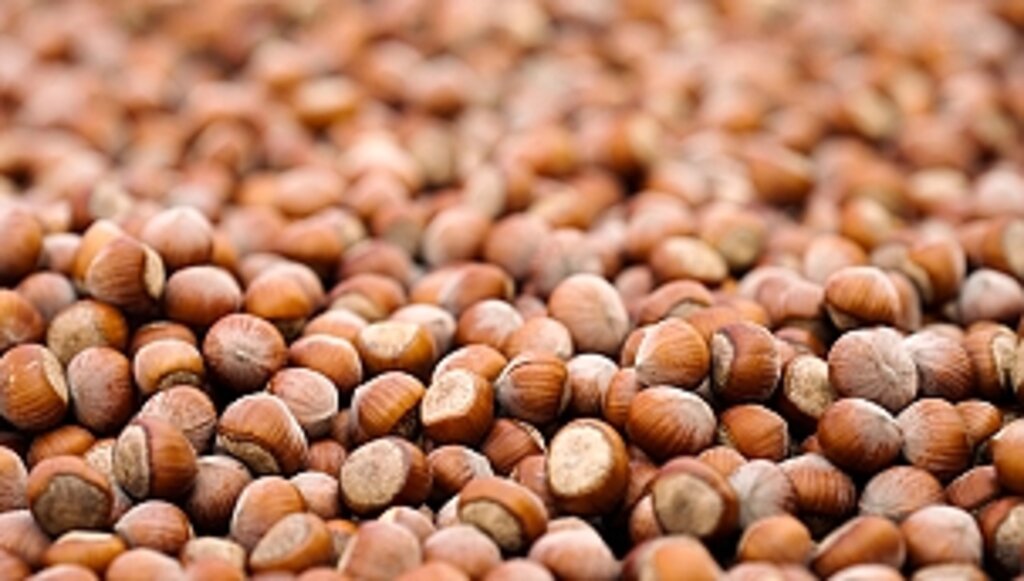 Ferrero, Sürdürülebilir Fındık İçin Kaydettiği Güçlü İlerlemeyi ve Yeni Dönem Hedeflerini Açıkladı