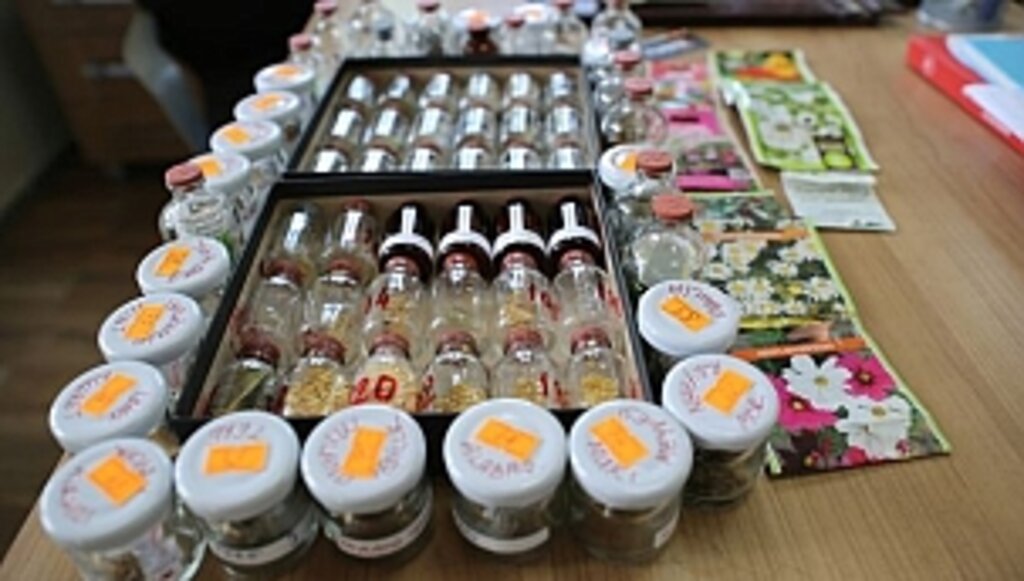 İlkadım'da 'Ata Tohumu' Seferberliği