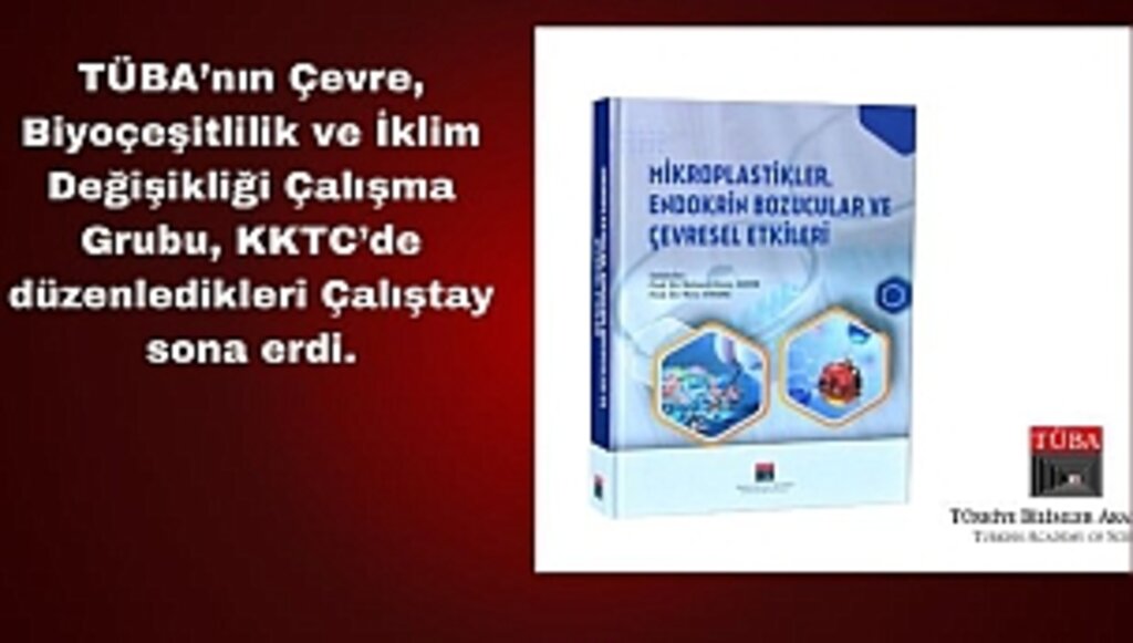 TÜBA'dan Plastik Sorununa Büyüteç Tutan Yayın