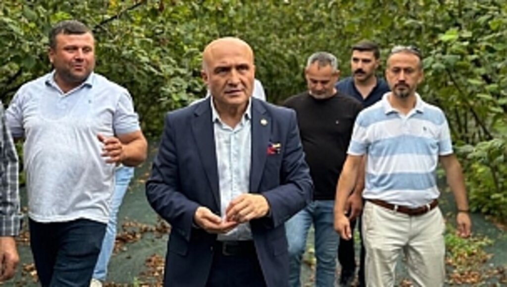 Fındığın Geleceği Tehlikede