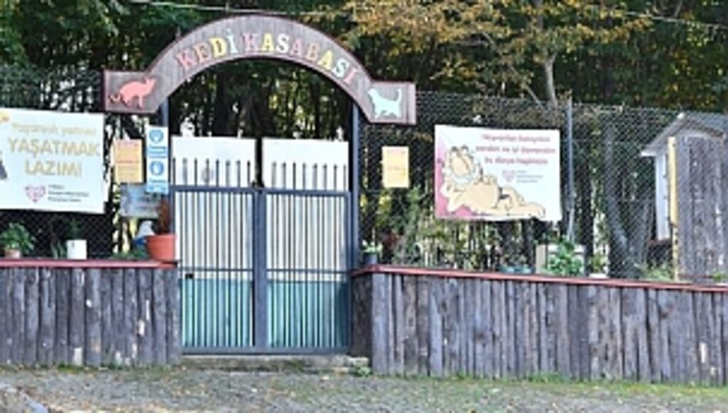 Kedi Kasabası Türkiye'de Örnek Teşkil Ediyor