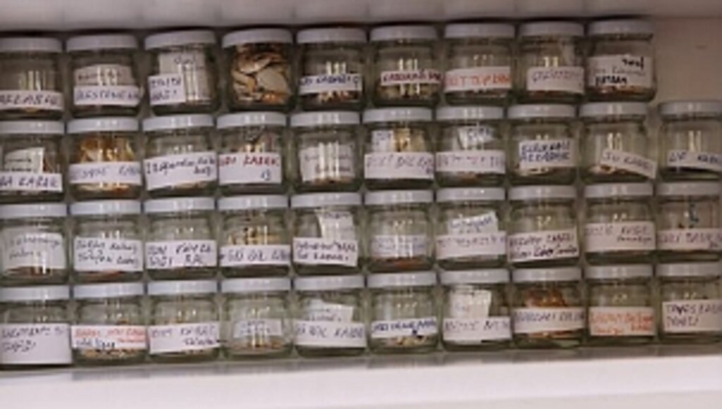 Organik Tarımın Adresi 'İlkadım'