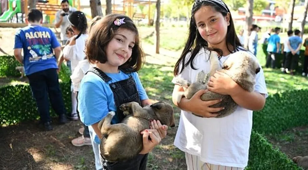 4. Pati Şenliği’nde Hayvanseverler ve Can Dostları Buluştu