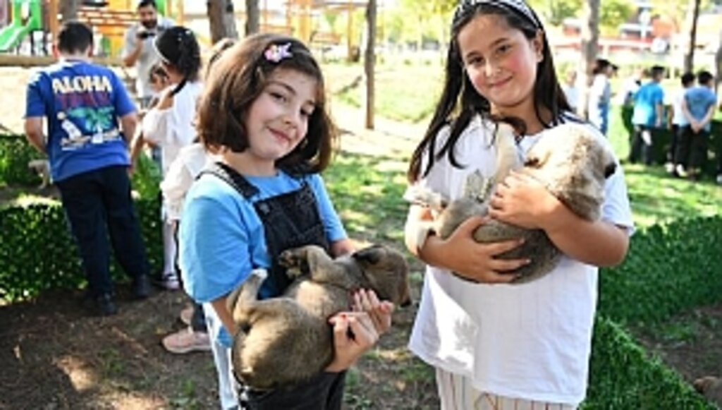 4. Pati Şenliği'nde Hayvanseverler ve Can Dostları Buluştu