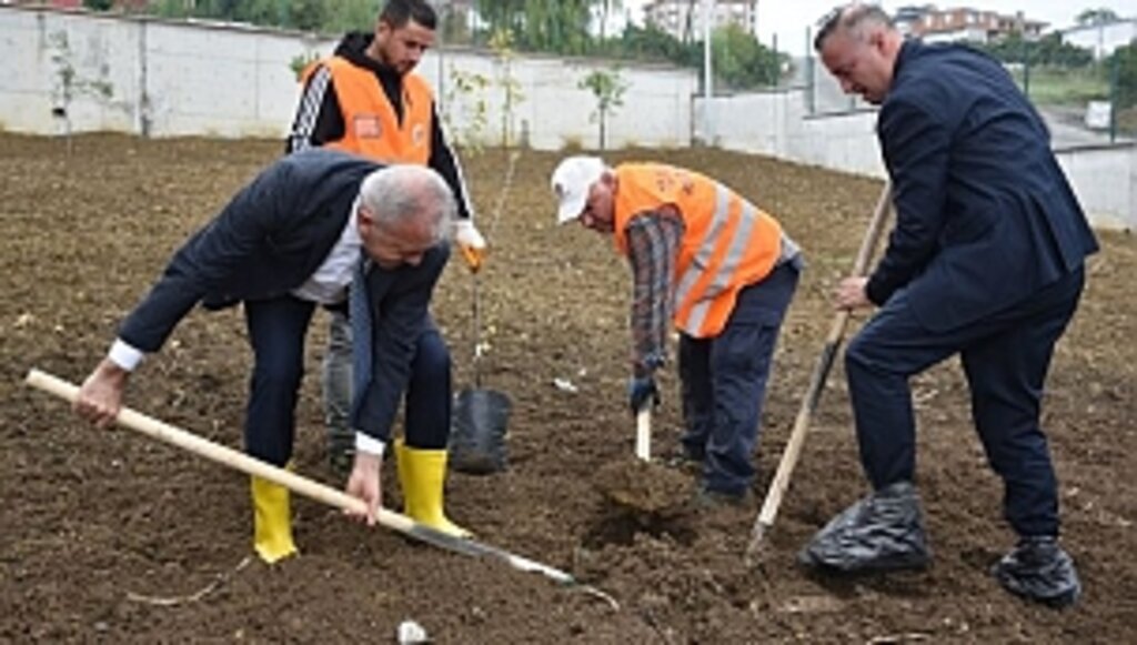 Atakum'daki Okullarda Meyve Ağaçları Yetiştirilecek