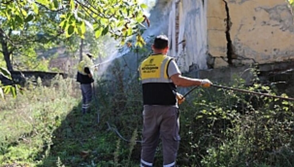 Büyükşehir'den Kahverengi Kokarcayla Mücadeleye Destek