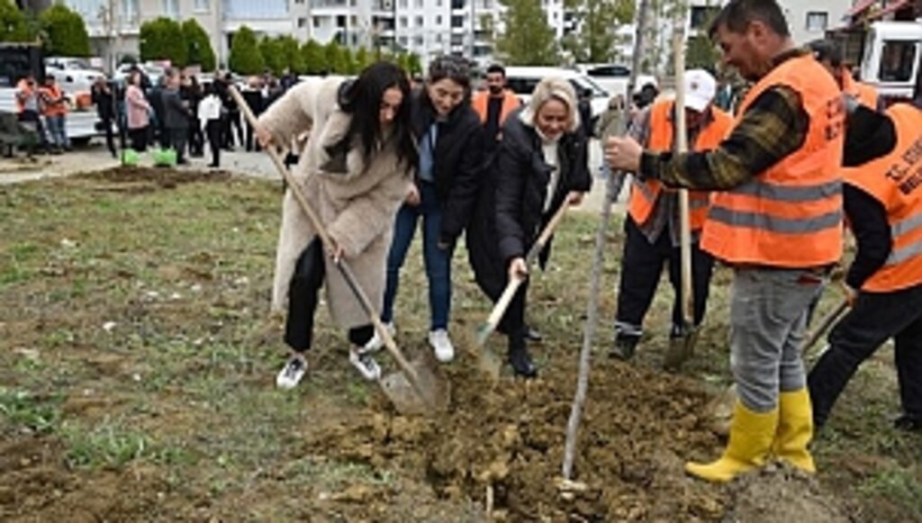 Atakum Yeşile Bürünüyor