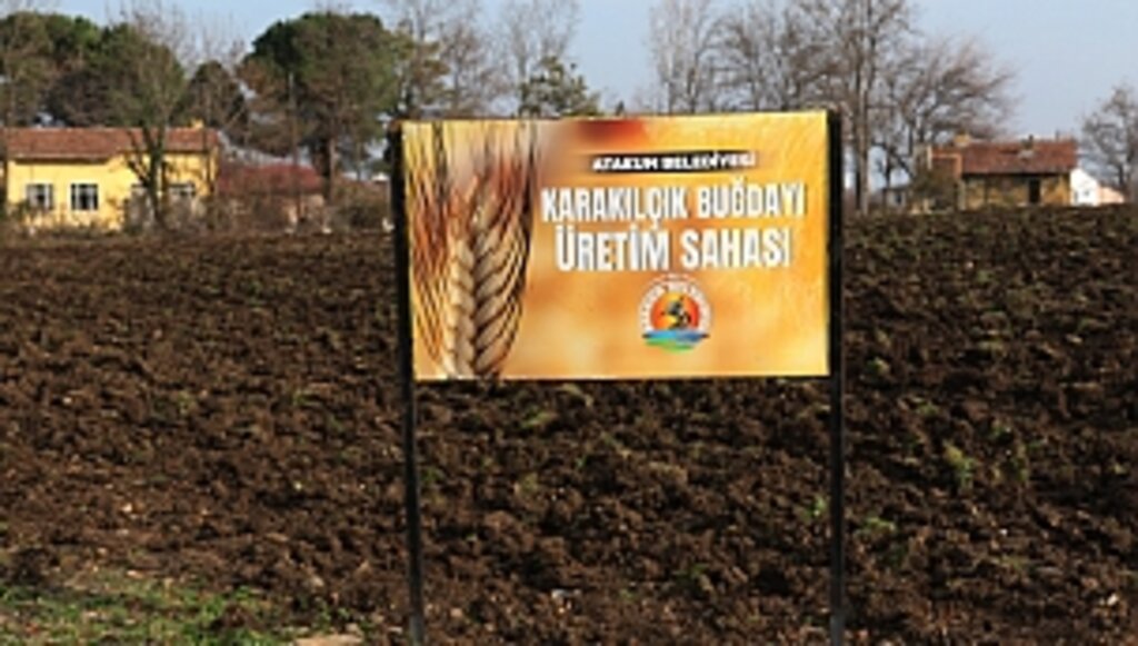 Başkan Türkel'den Tarımsal Üretime Destek