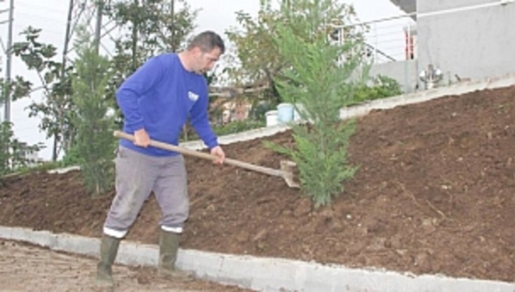 Canik'te 33 bin 668 Ağaç Kurtarıldı