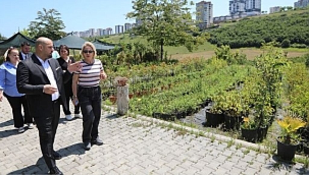 Atakum'da Yeşillendirme Çalışmaları Hızlandı