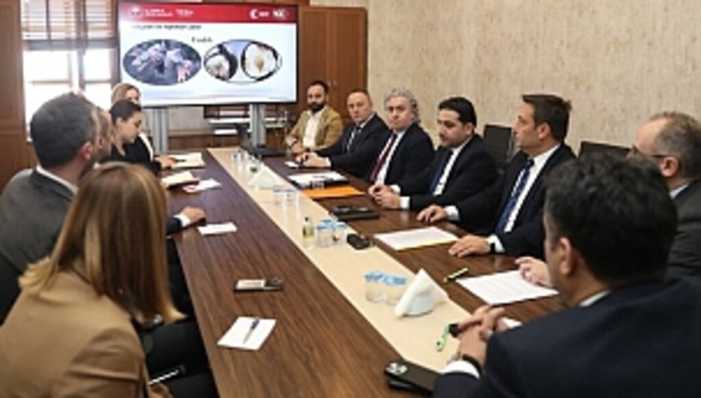 Büyükşehir'den Kahverengi Kokarca İle Mücadele