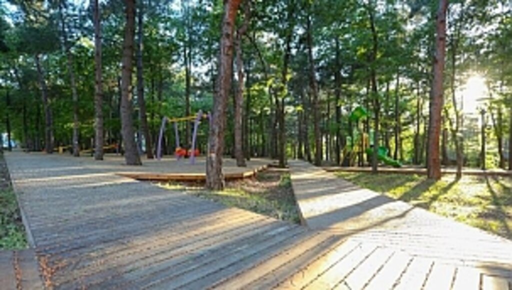 Doğaseverlerden Canik'e Akın 