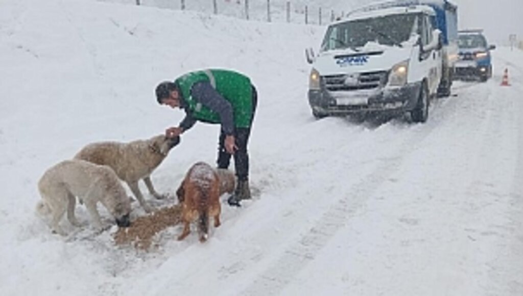 Can Dostların İmdadına Canik Belediyesi Koştu