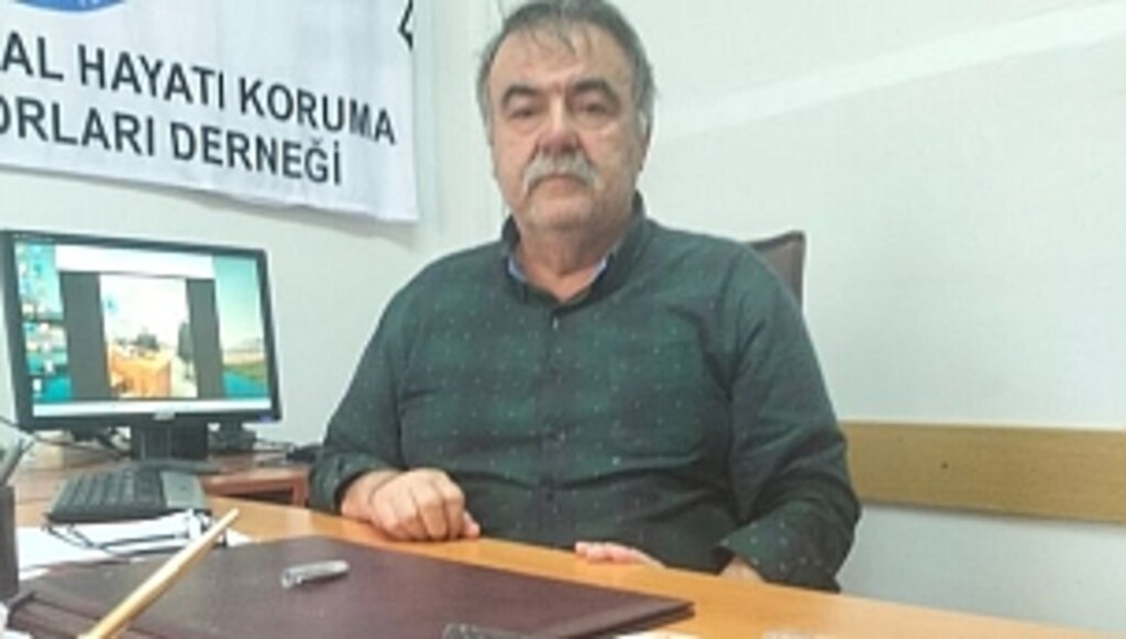 Sahillerin Halka Açık Olmasının Önemi!...