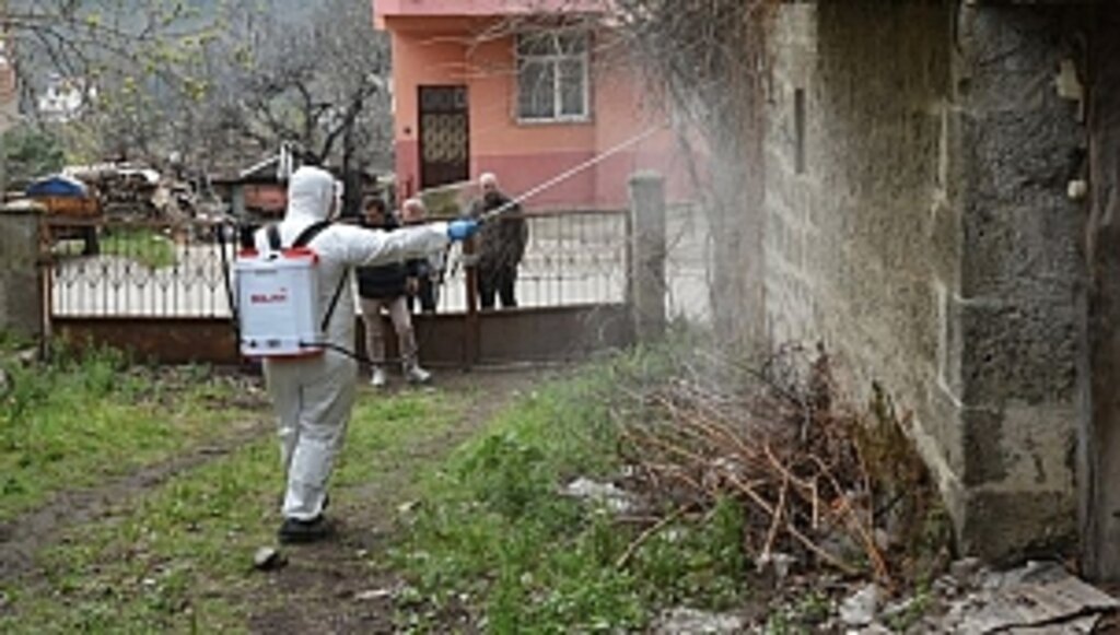 Atakum Belediyesi Kokarca Böceği İle Mücadelesi Devam Ediyor