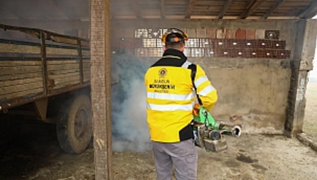 Büyükşehir'den Kahverengi Kokarca'ya Karşı Mücadele