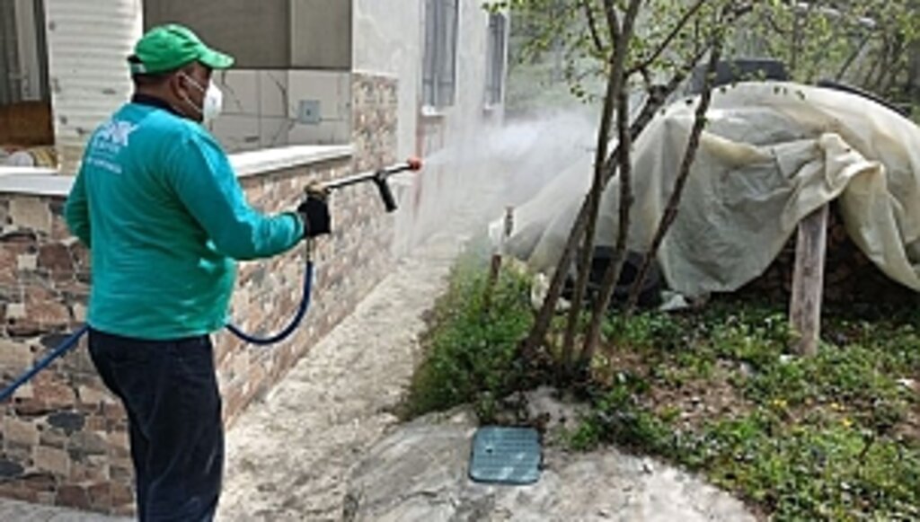 Canik Belediyesi'nden Kokarca Böceğine İlaçla Müdahale