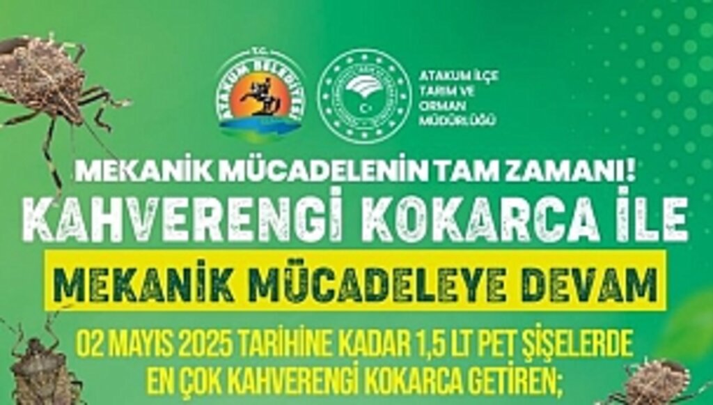 Atakum'da Kahverengi Kokarcayla Mücadele