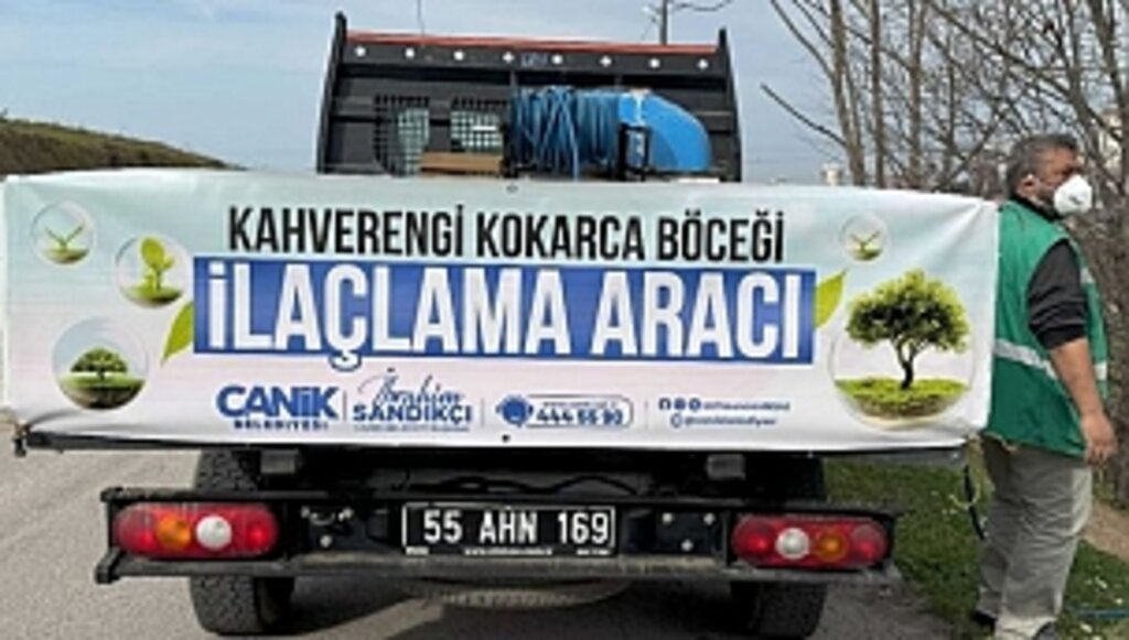 Canik'te Kokarca Böceğiyle Mücadeleye Tam Not