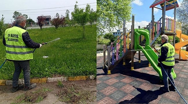 19 Mayıs'ta Kahverengi Kokarca İle Mücadele