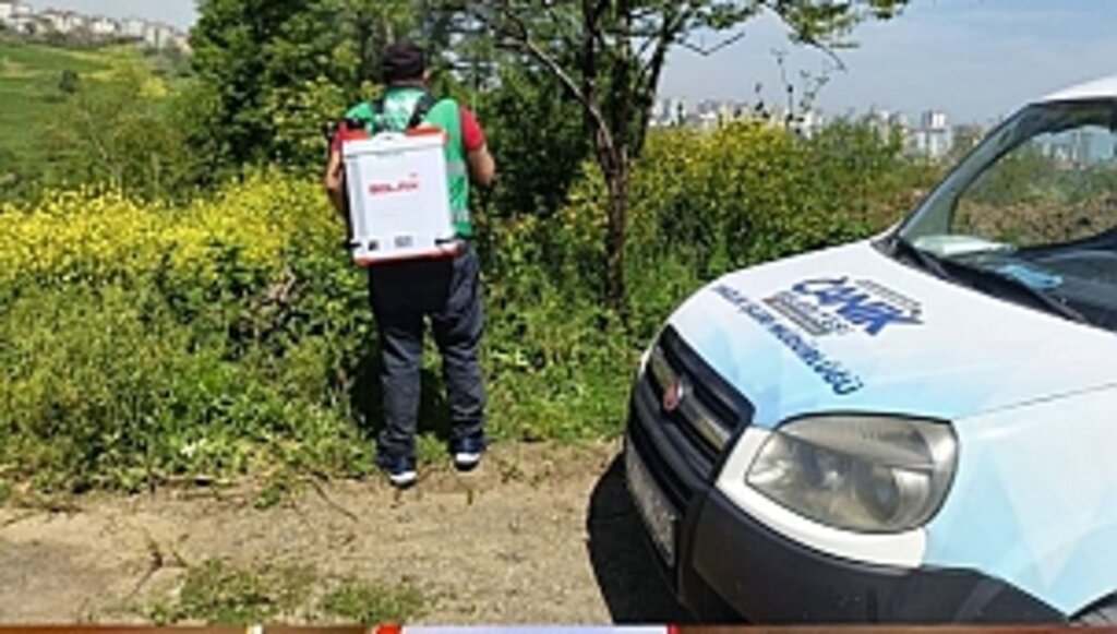 Canik'te Kokarca Böceğine Karşı Mücadeleye Devam