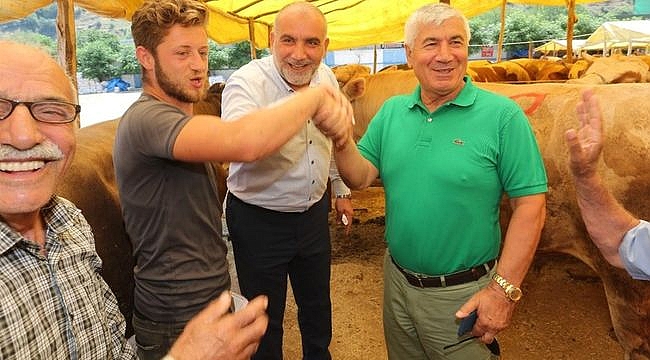 Canik'te Kurbanlıklar Görücüye Çıktı