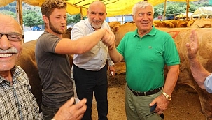 Canik'te Kurbanlıklar Görücüye Çıktı