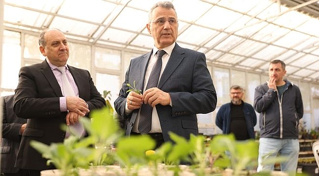 İlkadım'da Aromatik Bitkiler Yaygınlaşıyor