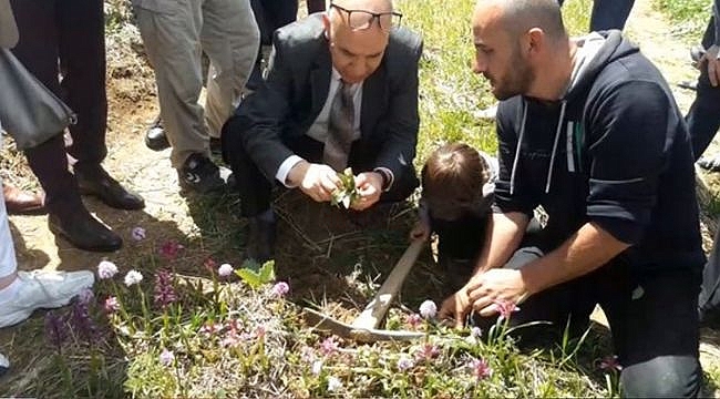 Kavak'ta Salep Hasat Şenliği Düzenlendi - VİDEOLU