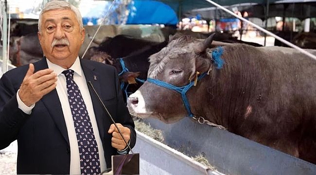 Vatandaşın Kurban Kesimi Kolaylaştırılmalı