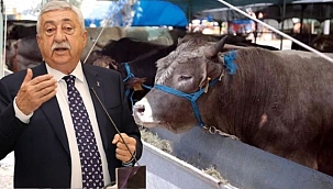 Vatandaşın Kurban Kesimi Kolaylaştırılmalı