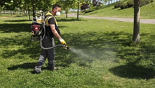 Büyükşehir'den Kene Vakalarına Karşı İlaçlama