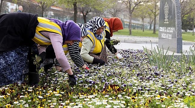 Çöpler Çiçek Oluyor, Samsun'a Renk Katıyor
