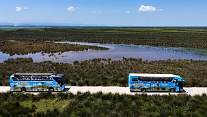 Kuş Cenneti Yaz Mevsiminde de İlgi Odağı